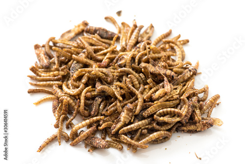 Tableau sur toile Fried cricket larvae