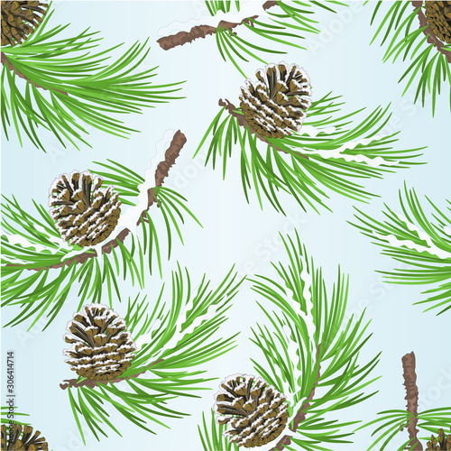 Seamless texture pine tree Branch and pine cone autumnal and winter snowy  natural on blue background vintage vector illustration editable hand draw