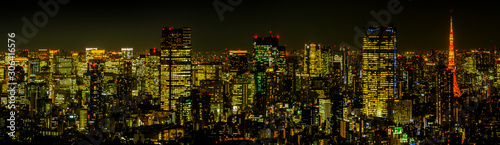 東京の典型的な夜景Night panorama of Tokyo, Japan