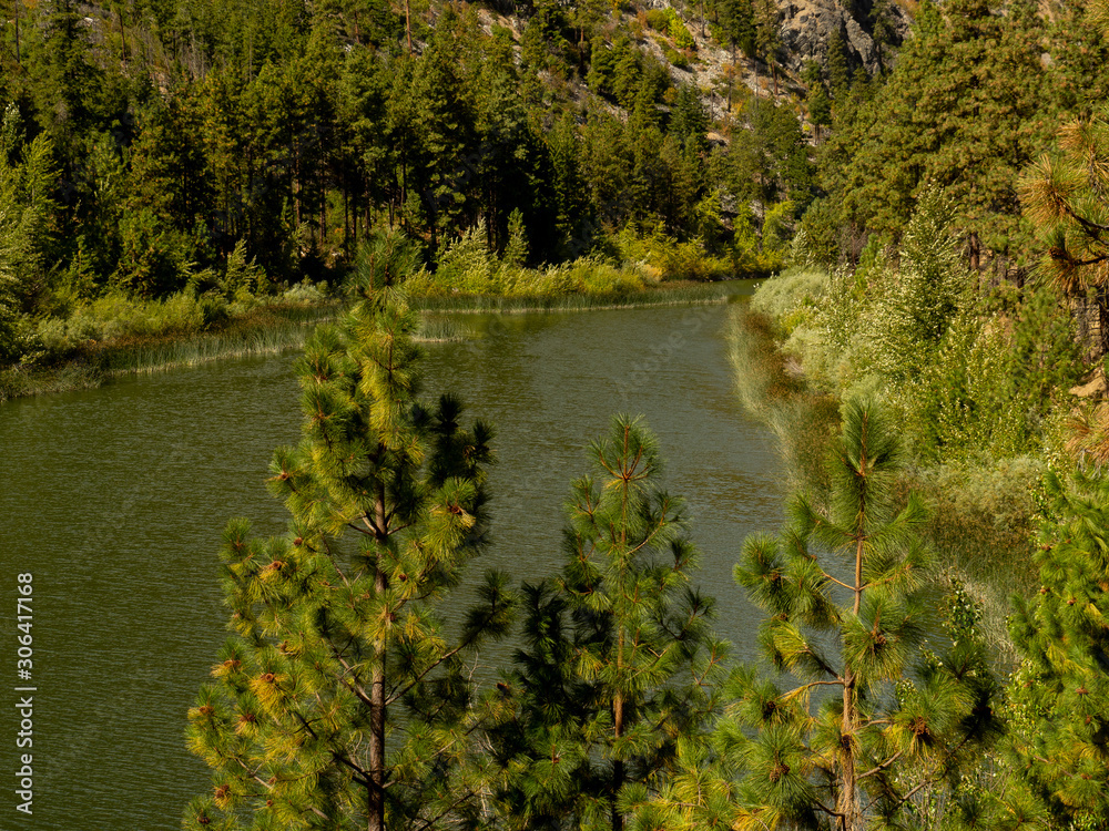 Lush green lake surrounded by Ponderosa Pine Trees in Eastern Washington