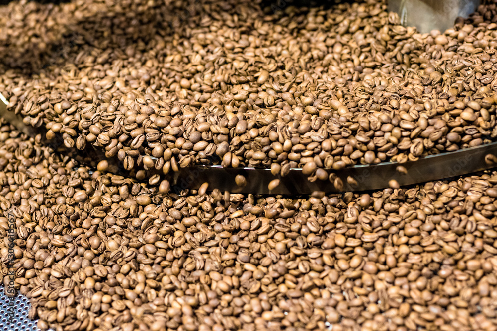 Obraz premium Fresh roasted coffee arabica beans have been cooled down in the cooling bin/tray after completed roasting process.