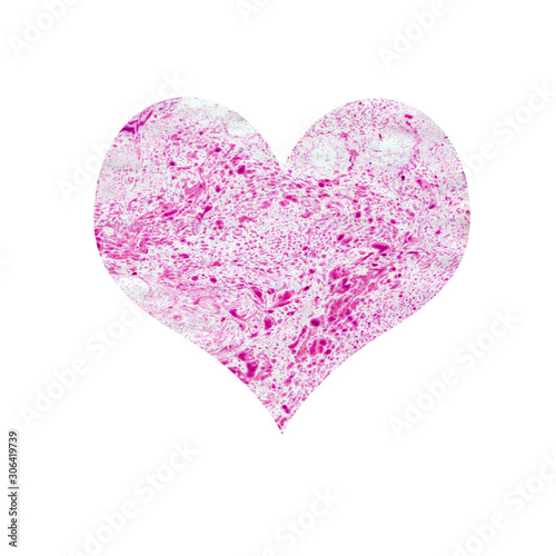 pink heart texture Valentine s Day celebration