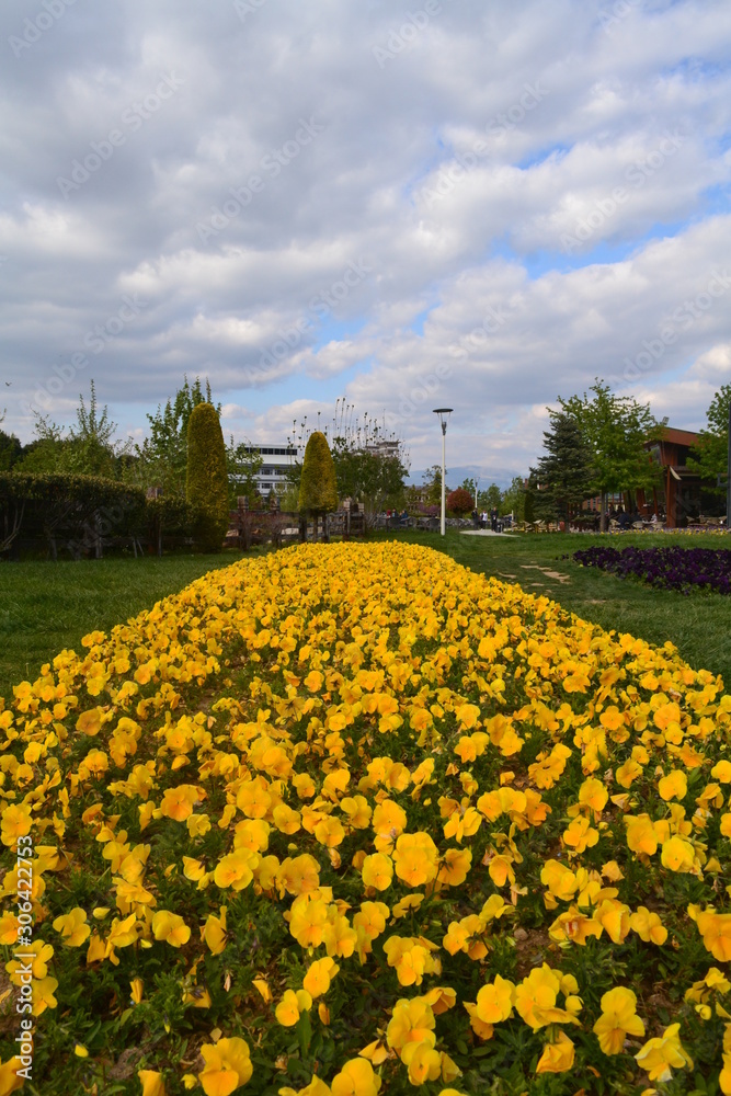 Obraz premium A park with a lake, many flowers and trees captured in daytime.
