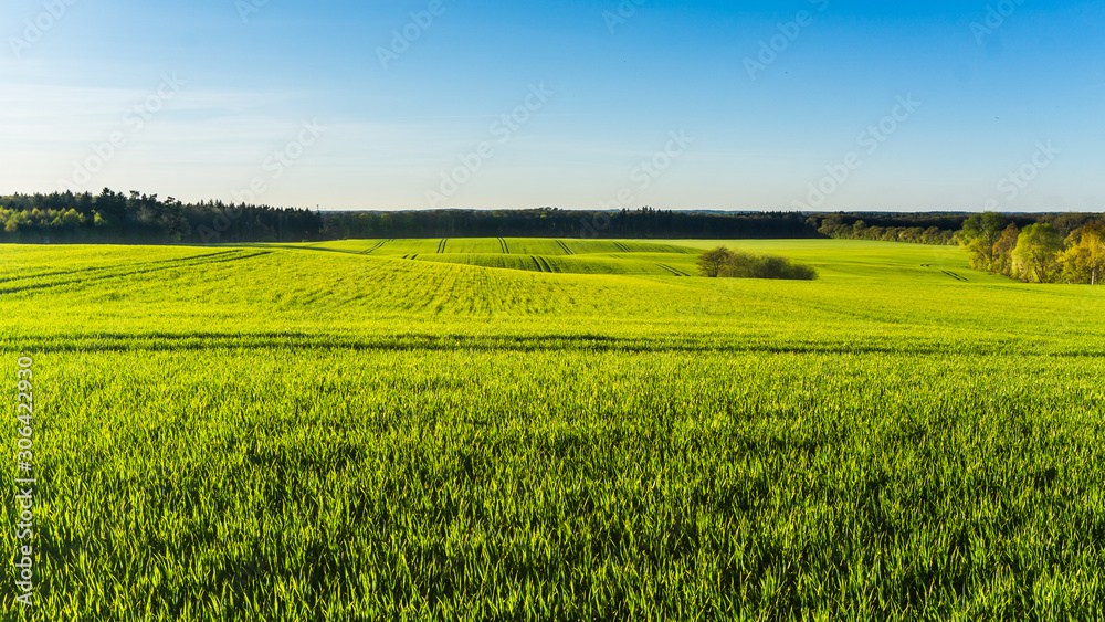 Landschaft mit grünen Feldern und Wald im Frühling Landschaft mit grünen Feldern und Wald im Frühling