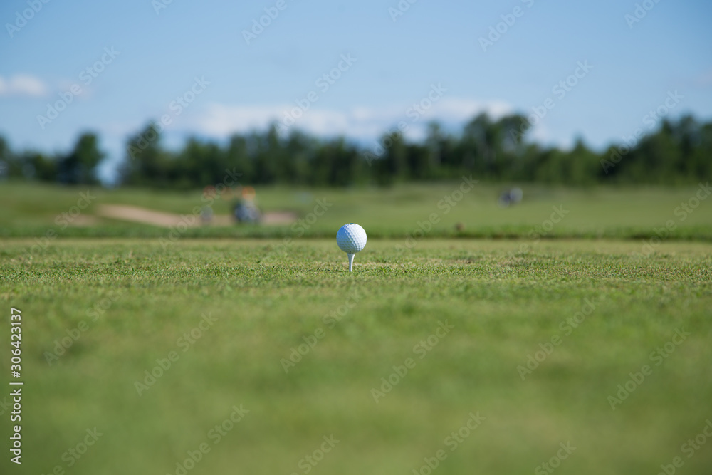 Beautiful green golf course with a golf ball in focus copy space mock up Beautiful green golf course with a golf ball in focus copy space mock up