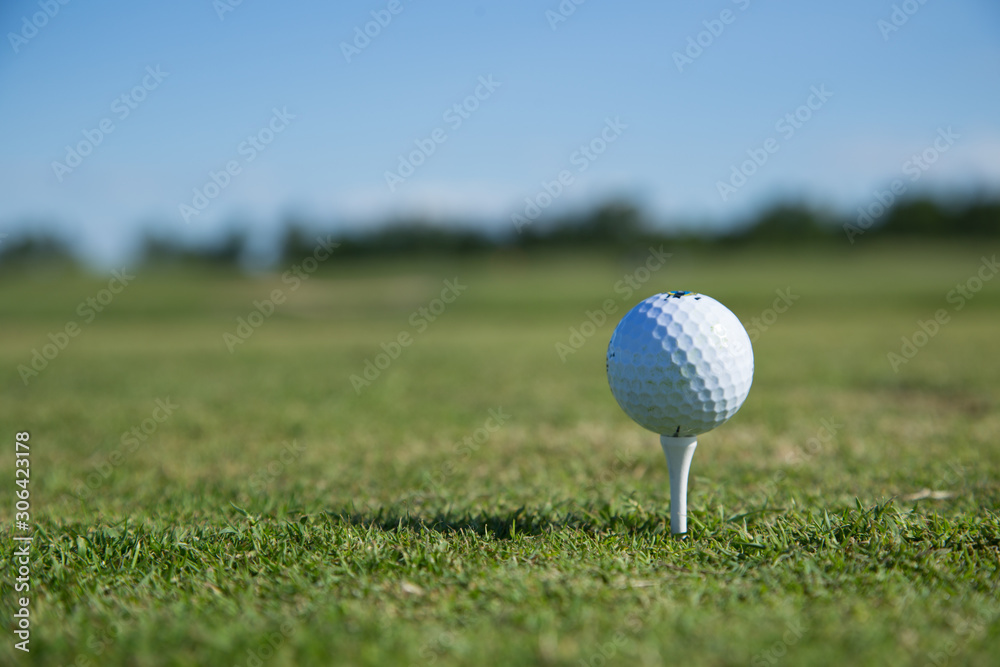 Beautiful green golf course with a golf ball in focus copy space mock up Beautiful green golf course with a golf ball in focus copy space mock up