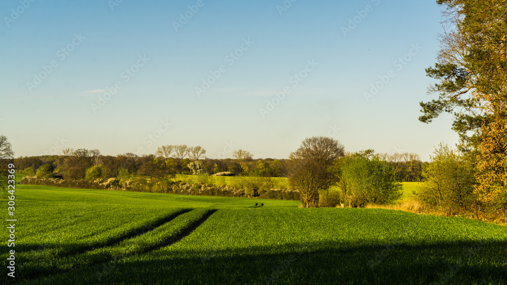 Landschaft mit grünen Feldern Wiesen und Wäldern im Hintergrund