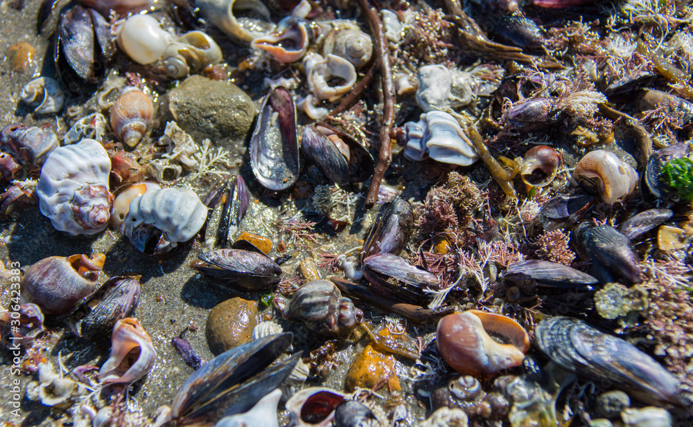 Entre mareas Entre mareas