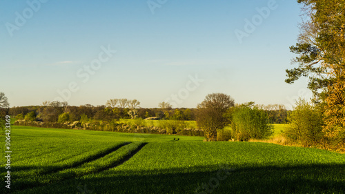 Landschaft mit grünen Feldern Wiesen und Wäldern im Hintergrund © hhandi77