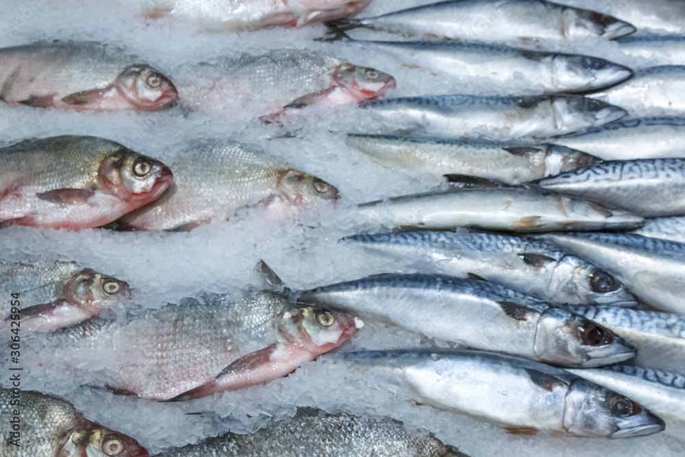 fish in the fish market laid out on a counter in shop