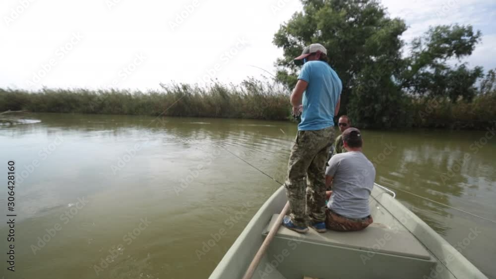 Fishing for carp. Angler fights with the carp fish and catches it Fishing for carp. Angler fights with the carp fish and catches it