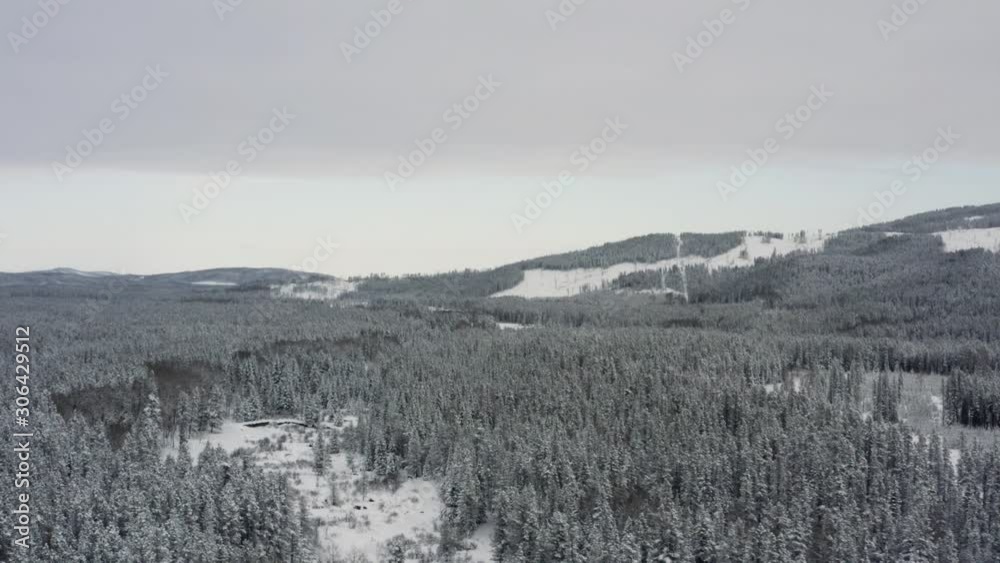 Top down shot over snow covered trees in winter, dolly right to left shot, Bragg Creek Alberta Canada 4k Top down shot over snow covered trees in winter, dolly right to left shot, Bragg Creek Alberta Canada 4k
