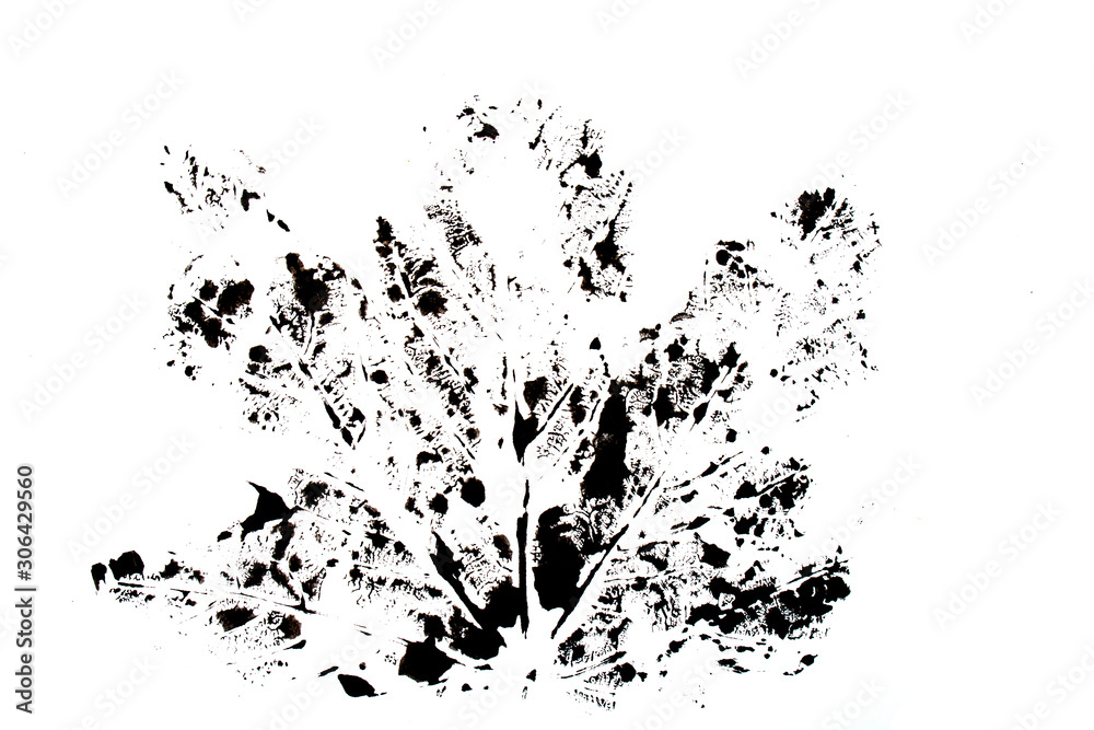 Abstract Black Paint Print of a Large Maple Leaf Ink Blot Abstract Black Paint Print of a Large Maple Leaf Ink Blot