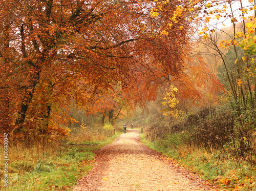 A path through a park in Autumn  with cyclists in the distance