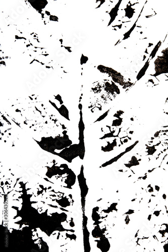 Abstract Black Paint Print of a Large Maple Leaf Ink Blot