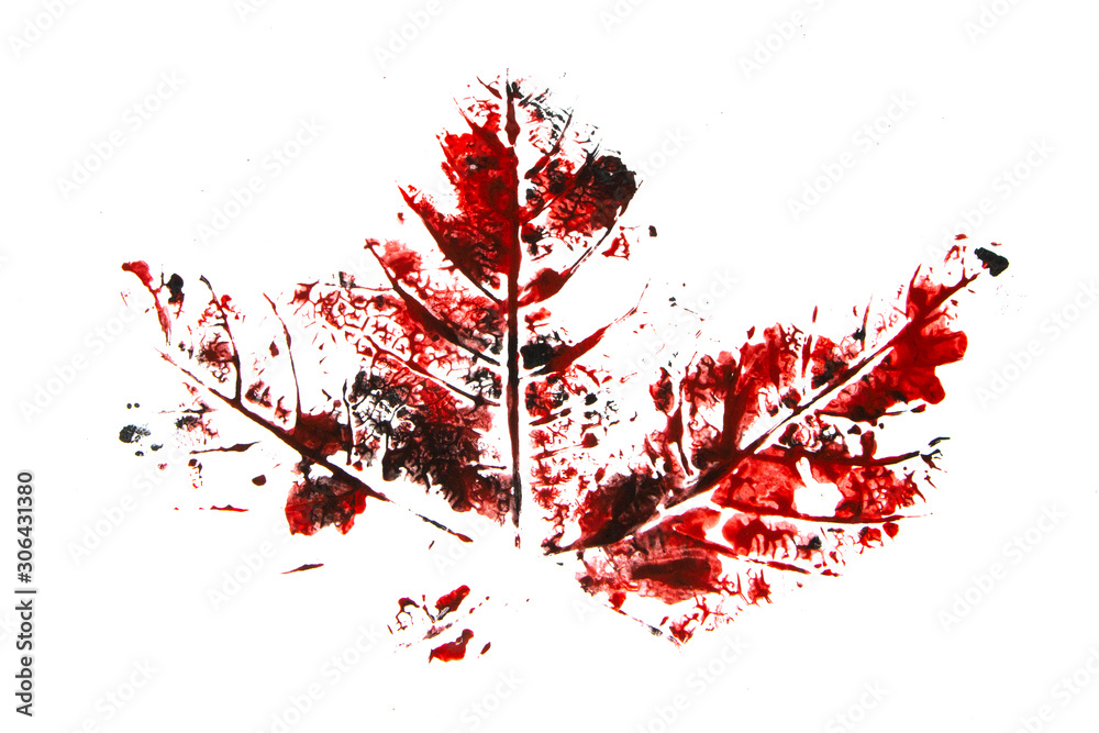 Red and Black Paint Ink Print of A Leaf Veins on White Background