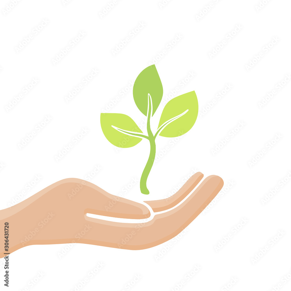 Plant in hand. Greenery protection Plant in hand. Greenery protection