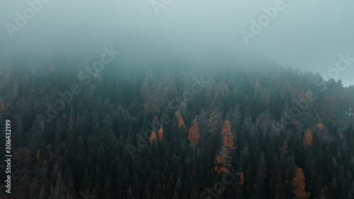 Dark moody winter vibes with aerial drone view from above of a mountain forestwith heavy fog and mist clouds in the hills and tree silhouettes. Harz Mountains National Park in Germany © Ricardo