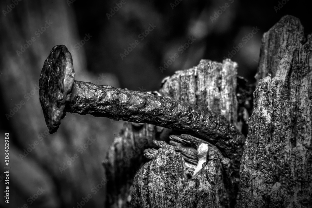 Old nail textures. Rusty nail and rotten tree Old nail textures. Rusty nail and rotten tree