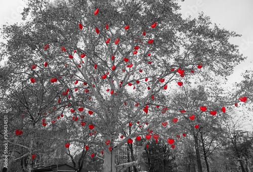 Photography CLOSE UP: Cool black and white shot of heart ornaments hanging from a tree