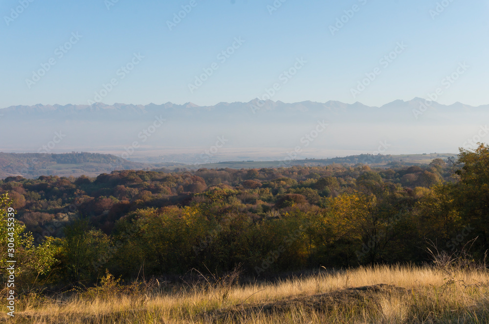 Golden fields in Carpathian Mountains. Mountains and barley cut fields in the horizon, golden hour photo-shoot. Golden fall panorama