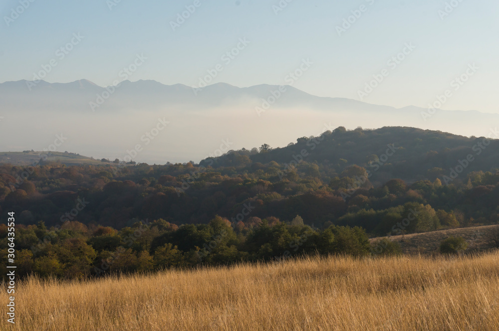 Golden fields in Carpathian Mountains. Mountains and barley cut fields in the horizon, golden hour photo-shoot. Golden fall panorama Golden fields in Carpathian Mountains. Mountains and barley cut fields in the horizon, golden hour photo-shoot. Golden fall panorama
