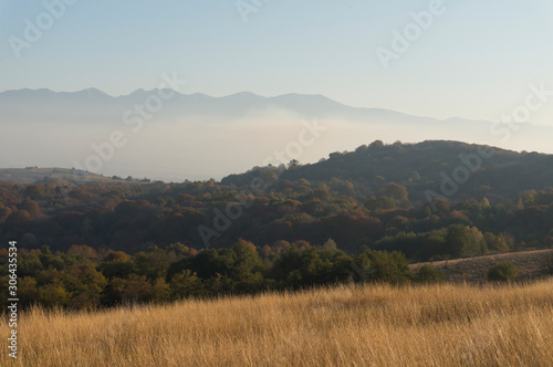 Golden fields in Carpathian Mountains. Mountains and barley cut fields in the horizon  golden hour photo-shoot. Golden fall panorama
