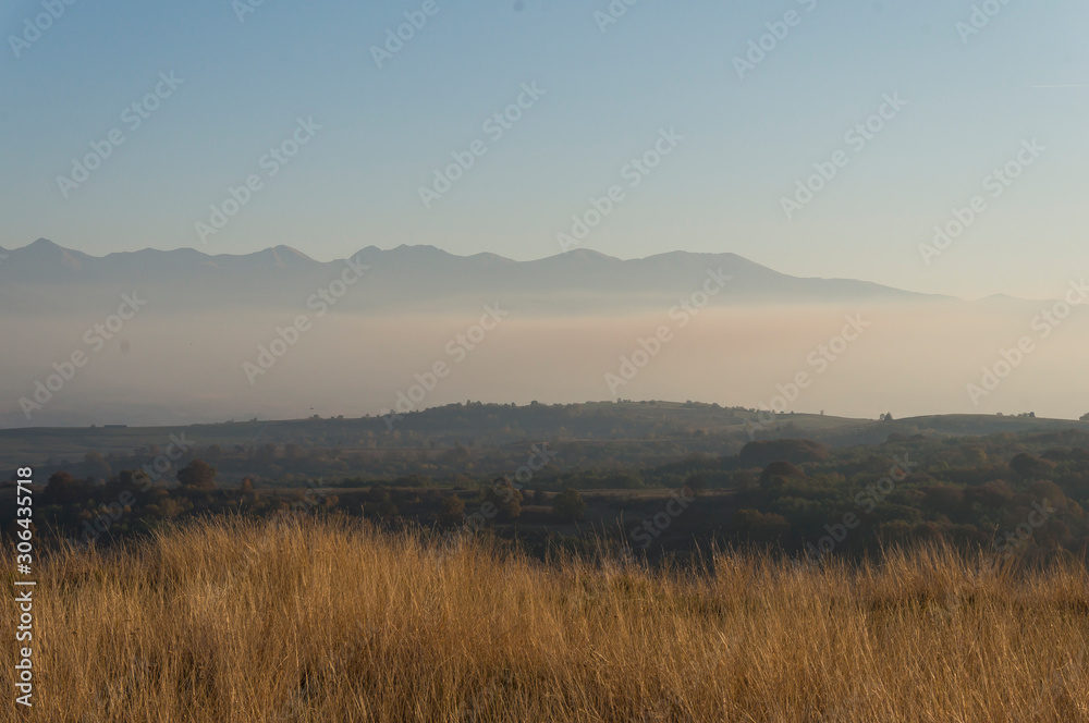 Obraz premium Golden fields in Carpathian Mountains. Mountains and barley cut fields in the horizon, golden hour photo-shoot. Golden fall panorama