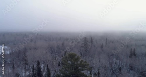 4K aerial flight over a snowy forest with ice fog.