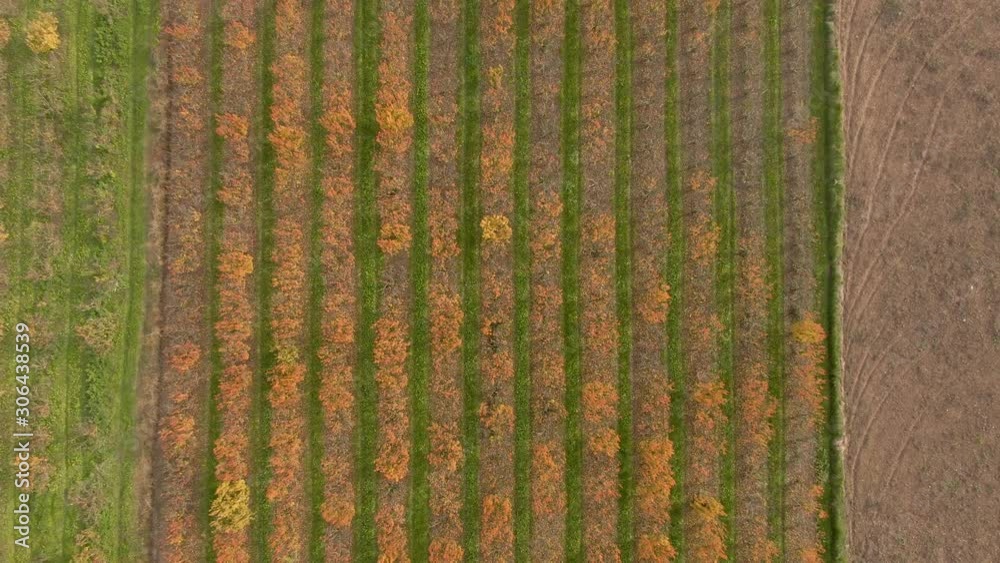 Perales otoño