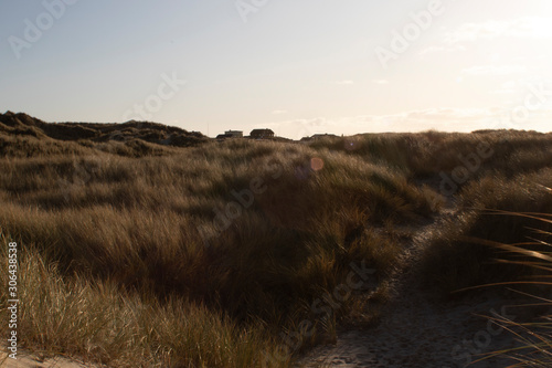 Sand dunes with sand ryegrass on the Danish west-coast Henne Beach photo