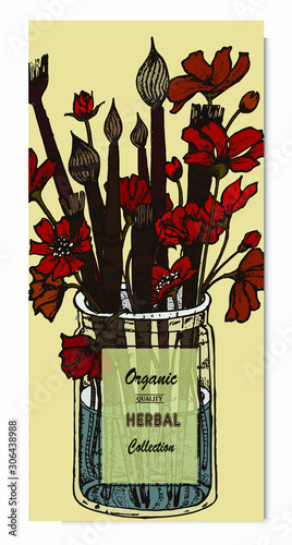 Herbal illustration on label packaging design. Hand drawn vector with branch, flowers, tessels.