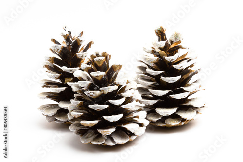 Christmas cones with snow on a white background