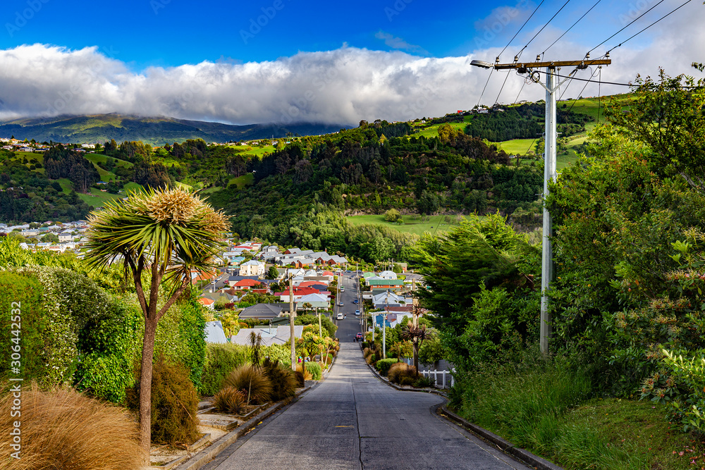 Baldwin Street, Dunedin, New Zealand