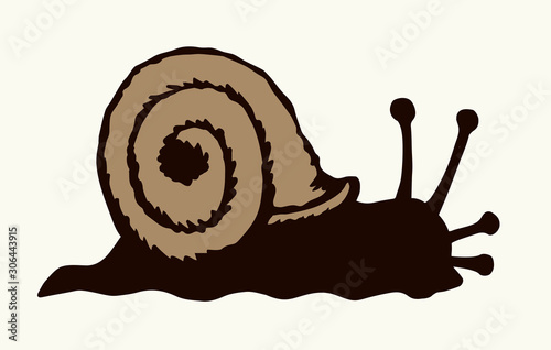 A snail creeps on the ground. Vector drawing