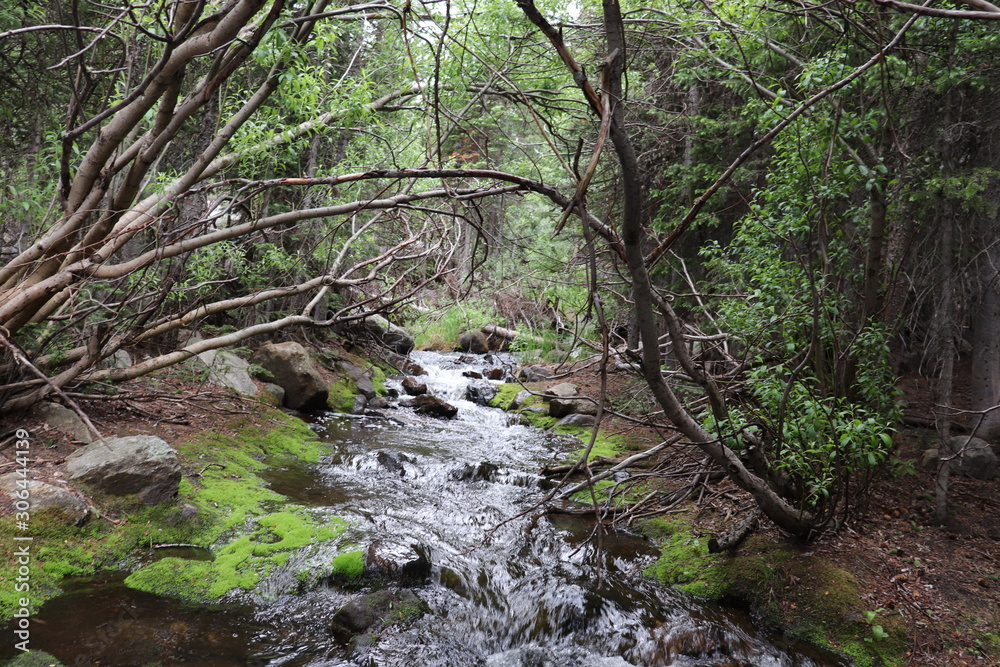 A Creek Running Through the Rocky Mountains A Creek Running Through the Rocky Mountains