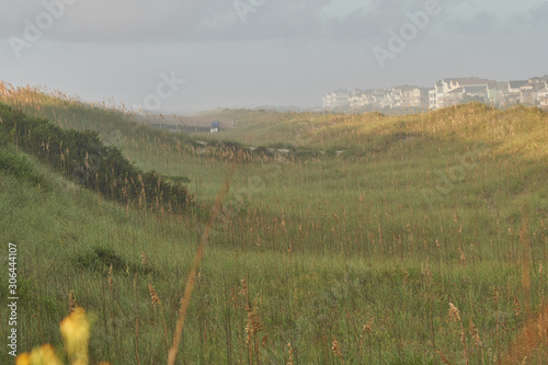 outer banks dune