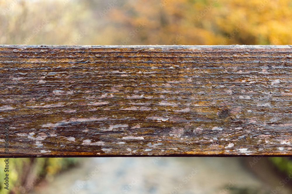 Fototapeta premium Wooden Fence - Bridge in the Countryside