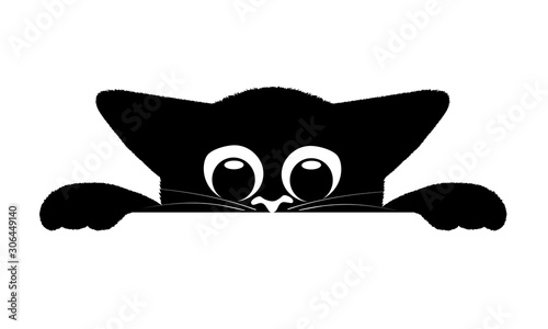 playful kitten hiding and peeping .