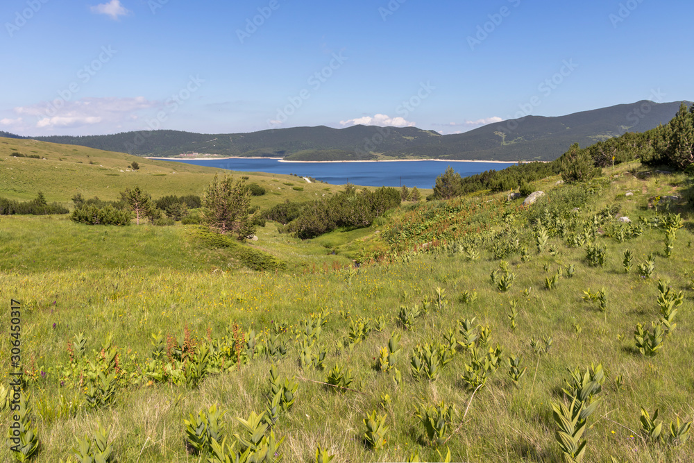 Summer view of Belmeken Reservoir, Rila mountain, Bulgaria