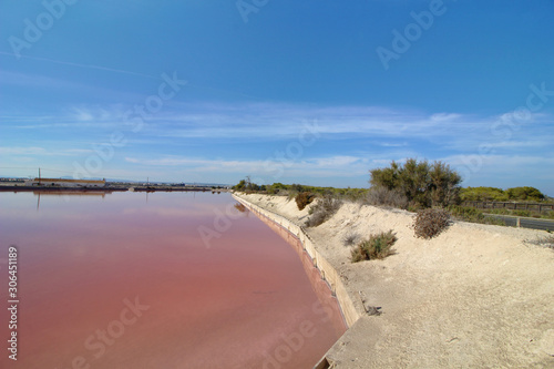 Salinas de San Pedro del Pinatar  Murcia  Espa  a