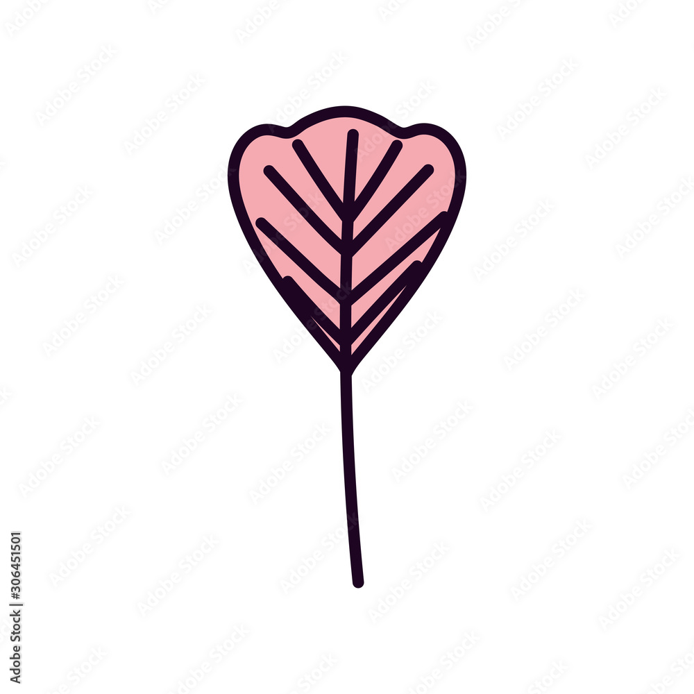 leaf foliage botanical nature icon design leaf foliage botanical nature icon design