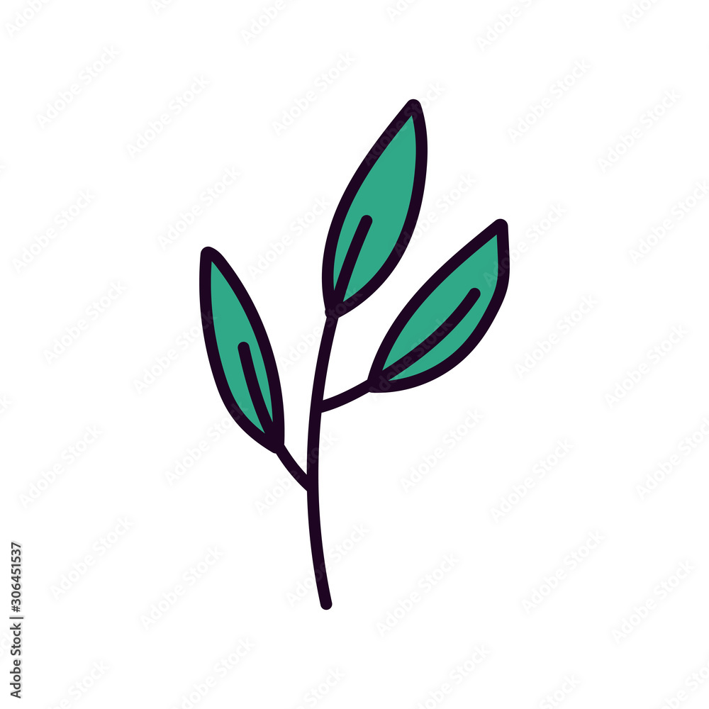 Obraz premium branch foliage leaves organic decoration icon