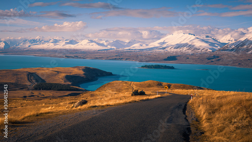 Konstfotografi Lake Tekapo surrounded by tawny tussock and snowy peaks, South Island, New Zeala