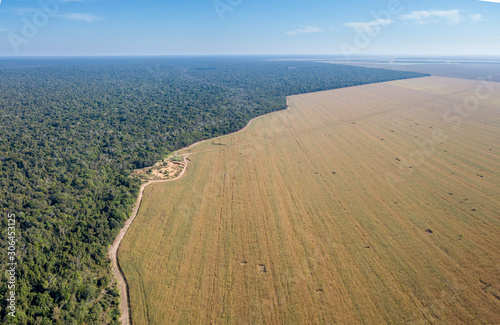 Aerial drone view of the Xingu Indigenous Park territory border and large soybean farms in the Amazon rainforest, Brazil. Concept of deforestation, agriculture, global warming and environment. photo