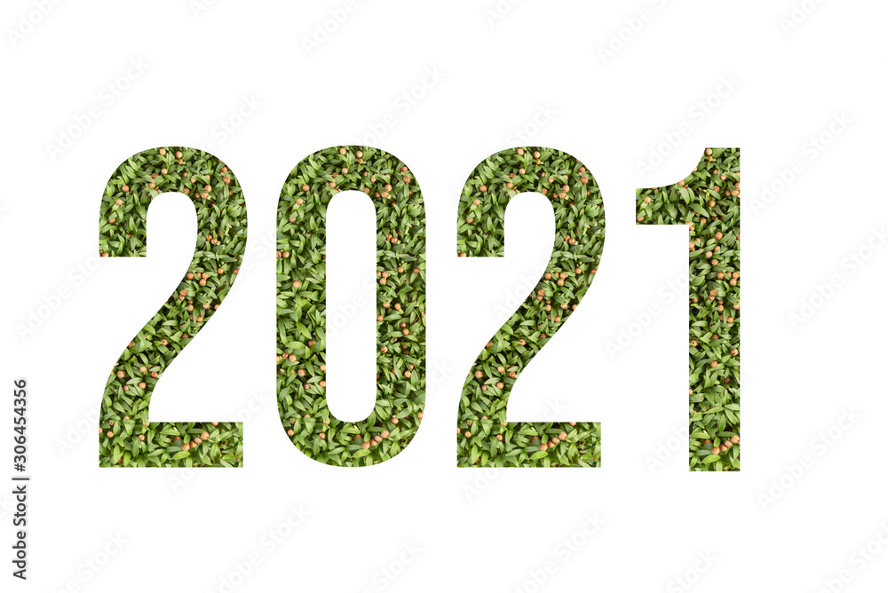 Microgreen font number 2021 made of cilantro microgreen on white background with paper cut shape of number. Collection of flora font for your unique decoration in summer Microgreen font number 2021 made of cilantro microgreen on white background with paper cut shape of number. Collection of flora font for your unique decoration in summer