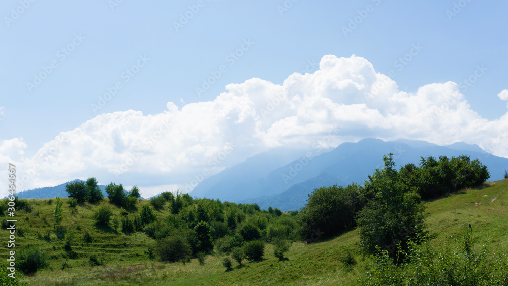 Landscapes Mountains Trees