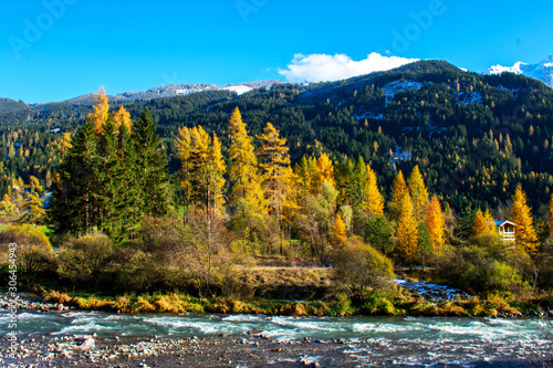 Italy, Trentino, Val di Fiemme - 10 november 2019 - The wonderful autumn colors of the Val di Fiemme