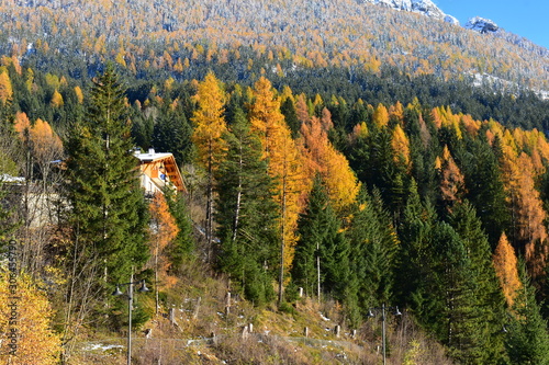 Italy, Trentino, Val di Fassa - 10 november 2019 - The foliage of the Val di Fassa photo