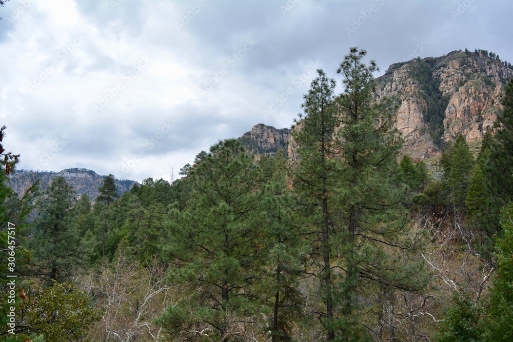 Oak Creek Canyon Sedona Arizona Winter Autumn Cold Oak Creek Canyon Sedona Arizona Winter Autumn Cold